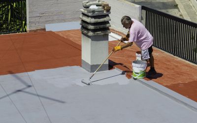 Roof Surface Painting